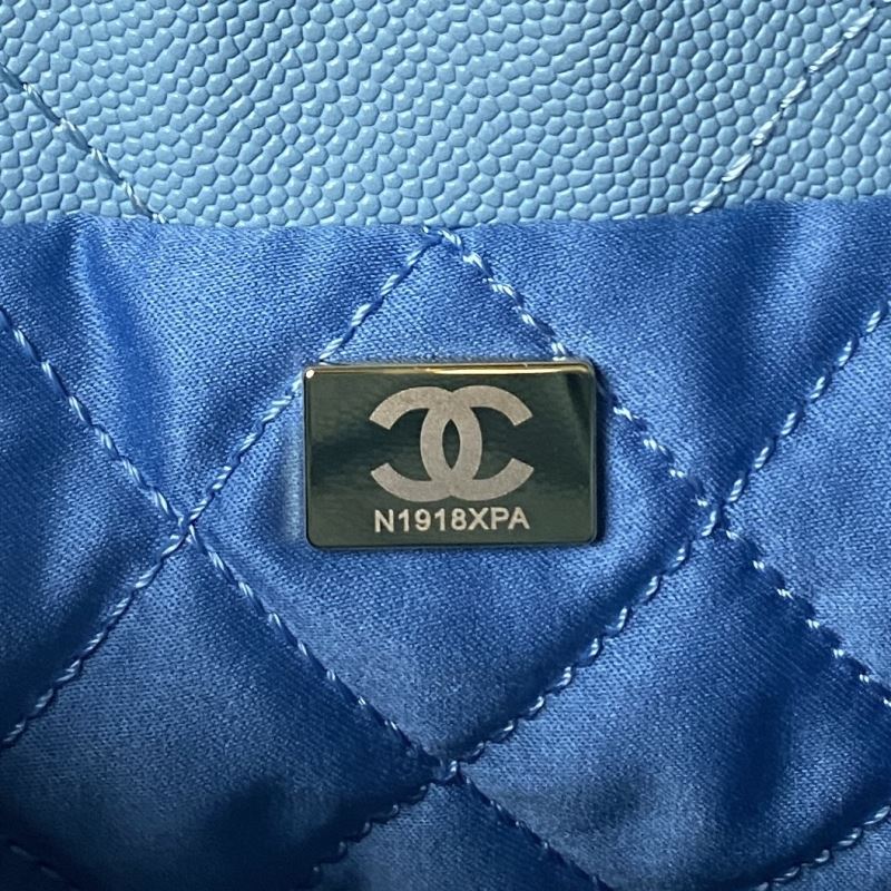 Chanel Hobo 22 Bags